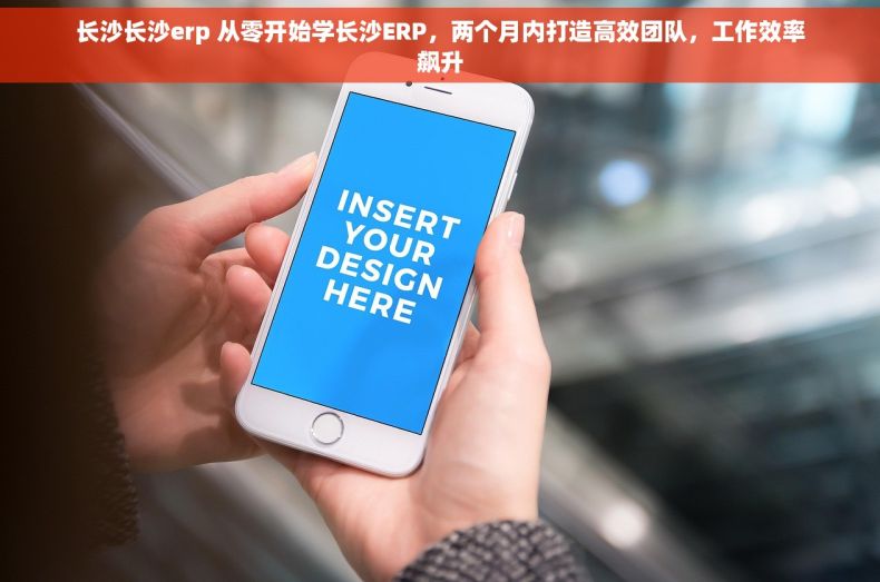 长沙长沙erp 从零开始学长沙ERP，两个月内打造高效团队，工作效率飙升