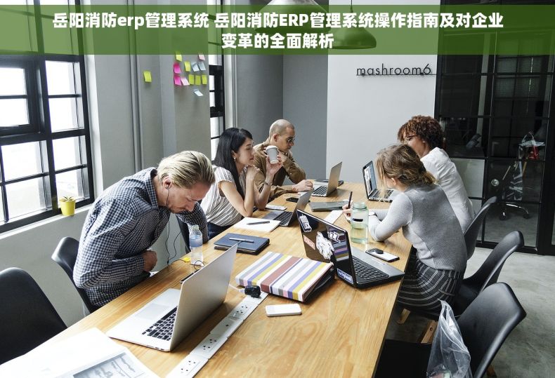 岳阳消防erp管理系统 岳阳消防ERP管理系统操作指南及对企业变革的全面解析