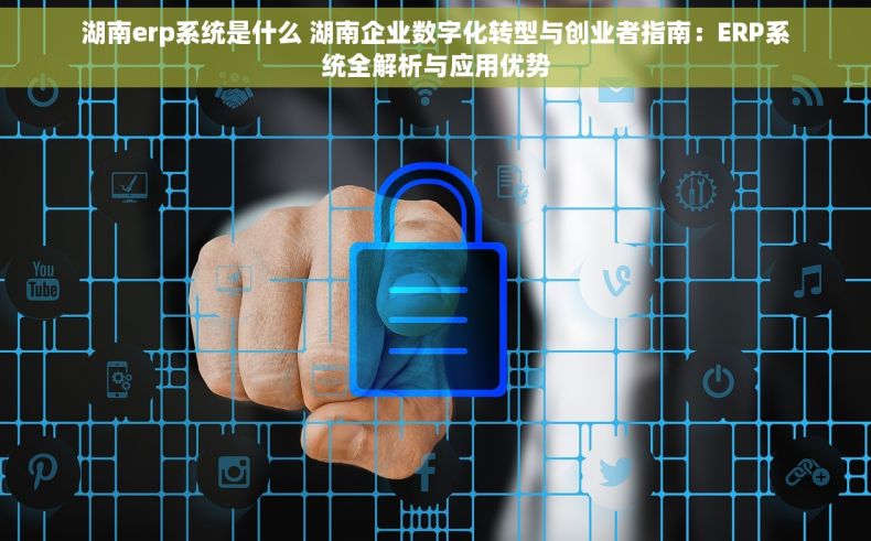 湖南erp系统是什么 湖南企业数字化转型与创业者指南：ERP系统全解析与应用优势