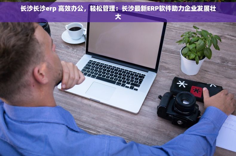 长沙长沙erp 高效办公，轻松管理：长沙最新ERP软件助力企业发展壮大