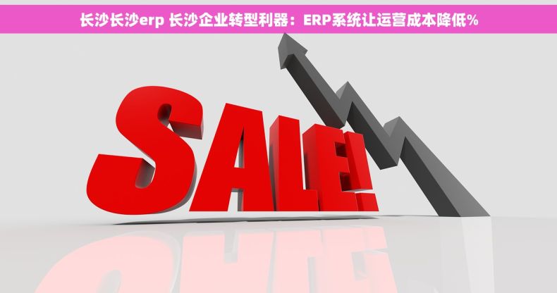 长沙长沙erp 长沙企业转型利器：ERP系统让运营成本降低%