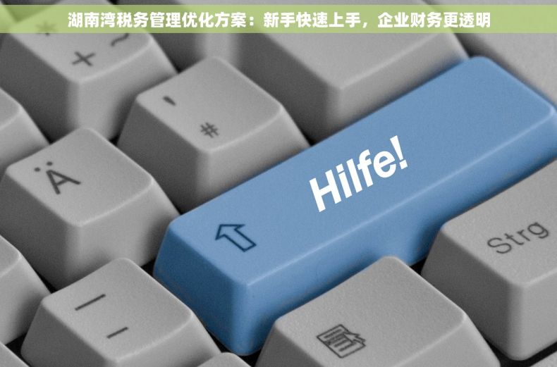 湖南湾税务管理优化方案：新手快速上手，企业财务更透明