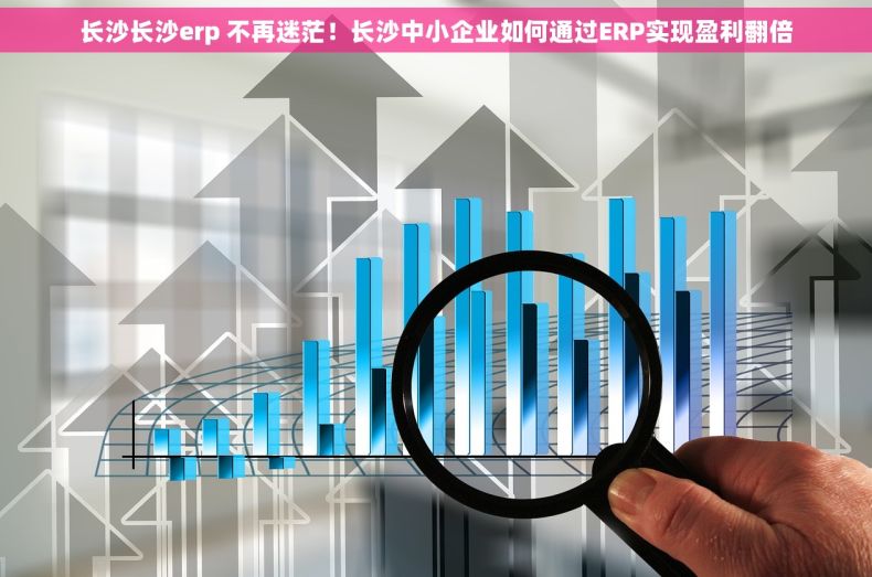 长沙长沙erp 不再迷茫！长沙中小企业如何通过ERP实现盈利翻倍