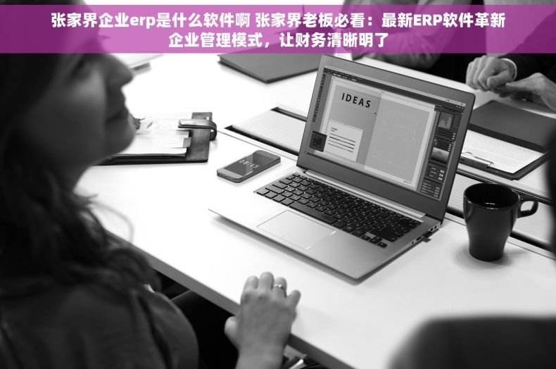 张家界企业erp是什么软件啊 张家界老板必看：最新ERP软件革新企业管理模式，让财务清晰明了
