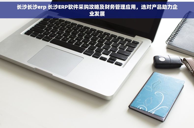 长沙长沙erp 长沙ERP软件采购攻略及财务管理应用，选对产品助力企业发展