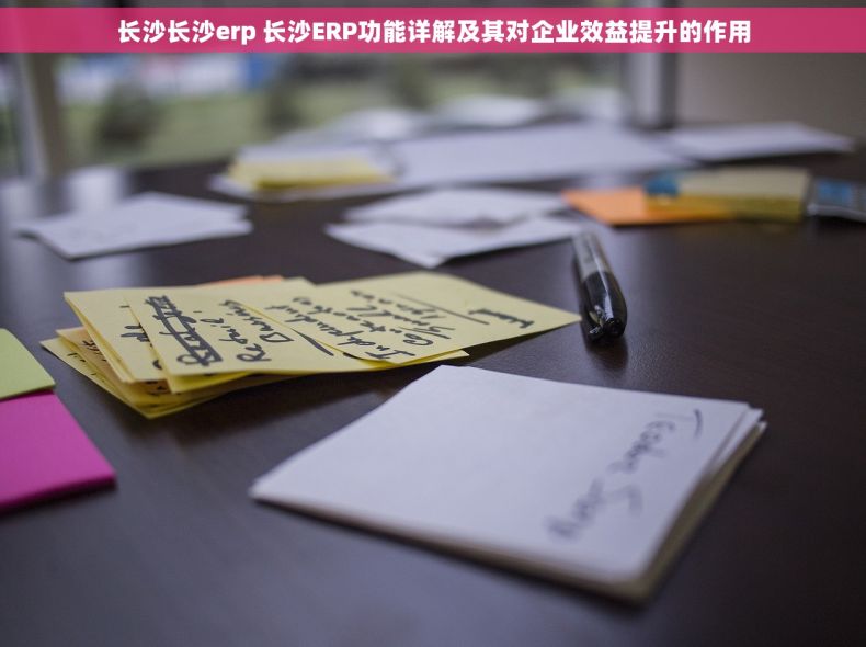 长沙长沙erp 长沙ERP功能详解及其对企业效益提升的作用