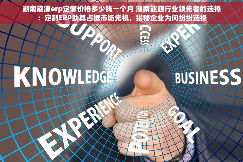 湖南能源erp定做价格多少钱一个月 湖南能源行业领先者的选择：定制ERP助其占据市场先机，揭秘企业为何纷纷选择