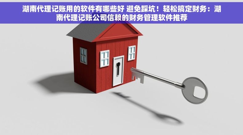 湖南代理记账用的软件有哪些好 避免踩坑！轻松搞定财务：湖南代理记账公司信赖的财务管理软件推荐