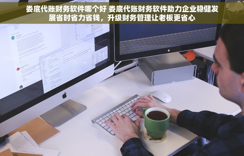 娄底代账财务软件哪个好 娄底代账财务软件助力企业稳健发展省时省力省钱，升级财务管理让老板更省心