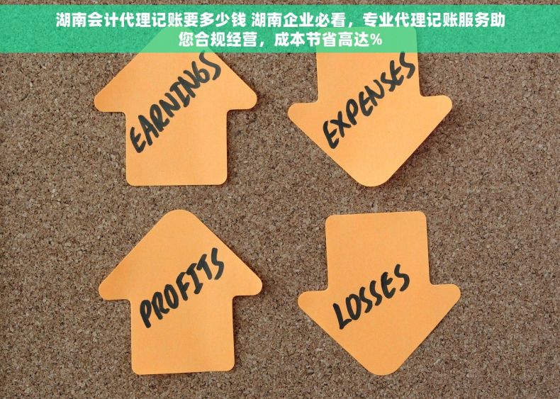 湖南会计代理记账要多少钱 湖南企业必看，专业代理记账服务助您合规经营，成本节省高达%