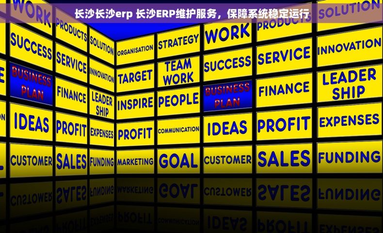 长沙长沙erp 长沙ERP维护服务，保障系统稳定运行