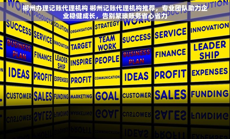 郴州办理记账代理机构 郴州记账代理机构推荐，专业团队助力企业稳健成长，告别繁琐账务省心省力