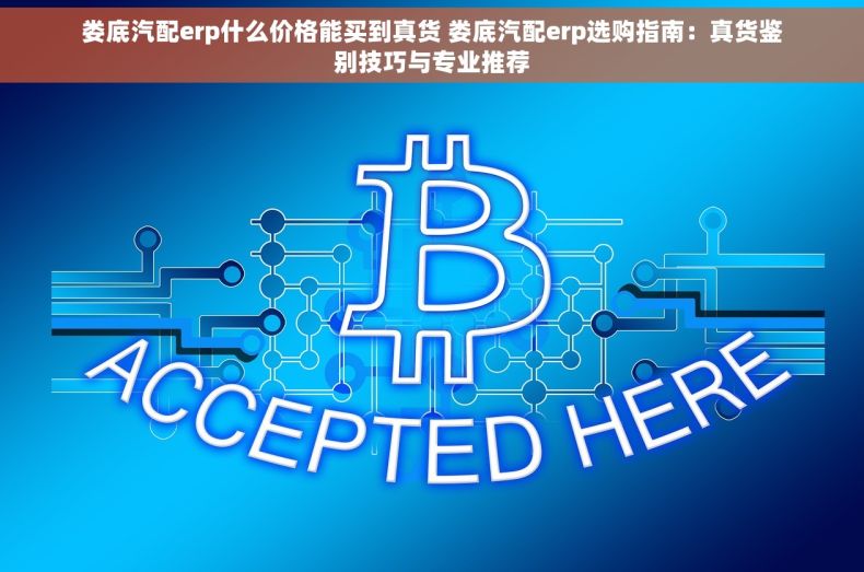 娄底汽配erp什么价格能买到真货 娄底汽配erp选购指南：真货鉴别技巧与专业推荐