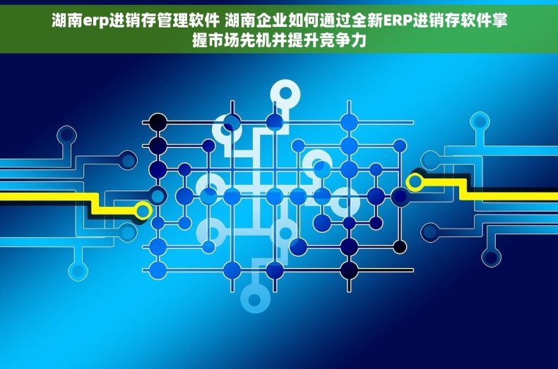 湖南erp进销存管理软件 湖南企业如何通过全新ERP进销存软件掌握市场先机并提升竞争力
