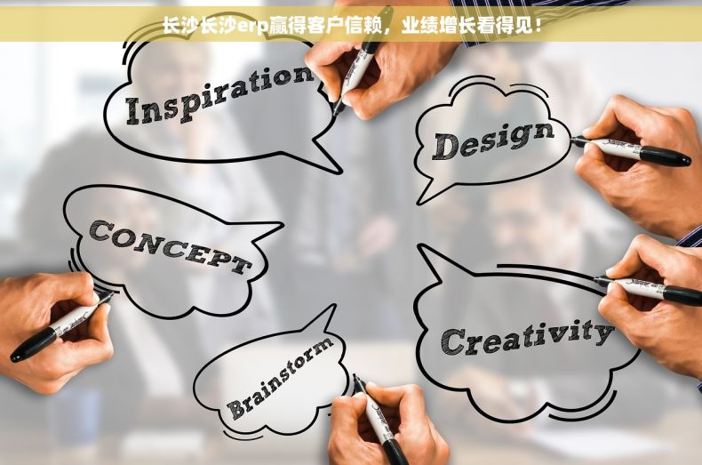长沙长沙erp赢得客户信赖，业绩增长看得见！