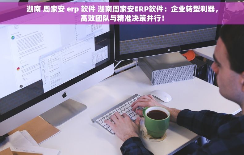 湖南 周家安 erp 软件 湖南周家安ERP软件：企业转型利器，高效团队与精准决策并行！
