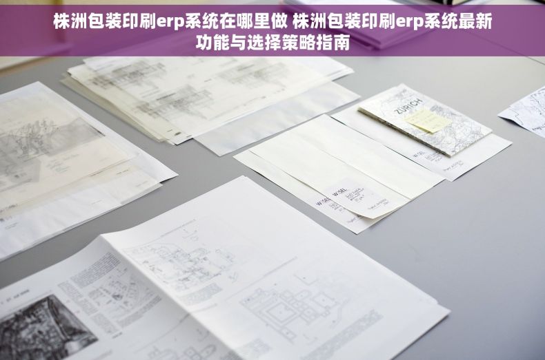 株洲包装印刷erp系统在哪里做 株洲包装印刷erp系统最新功能与选择策略指南