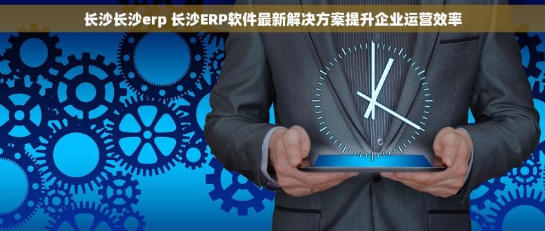 长沙长沙erp 长沙ERP软件最新解决方案提升企业运营效率
