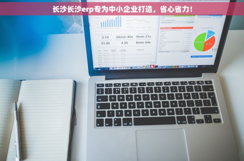 长沙长沙erp专为中小企业打造，省心省力！