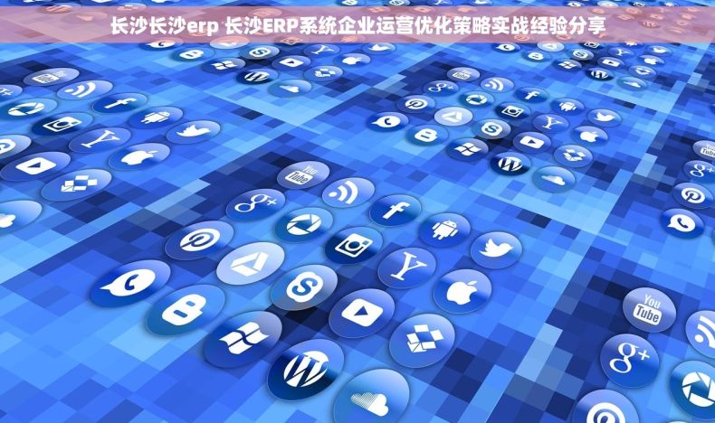 长沙长沙erp 长沙ERP系统企业运营优化策略实战经验分享