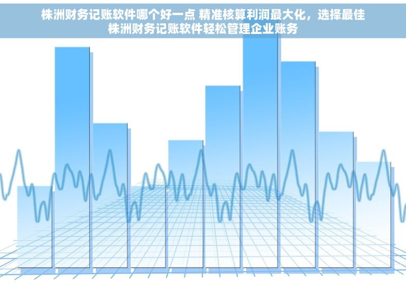 株洲财务记账软件哪个好一点 精准核算利润最大化，选择最佳株洲财务记账软件轻松管理企业账务