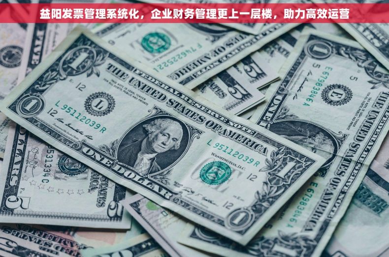 益阳发票管理系统化，企业财务管理更上一层楼，助力高效运营