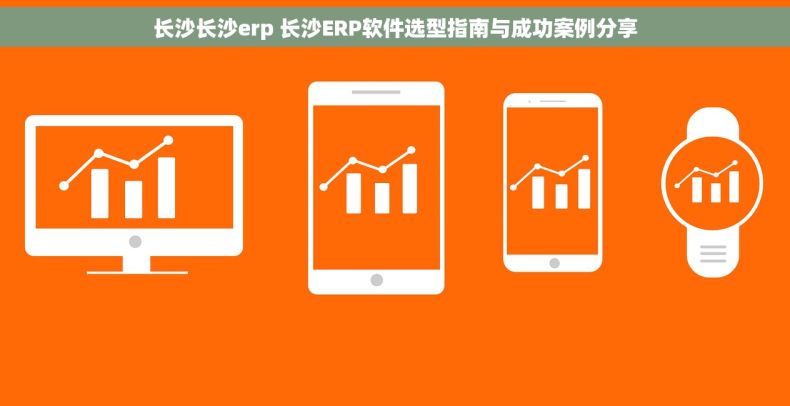 长沙长沙erp 长沙ERP软件选型指南与成功案例分享