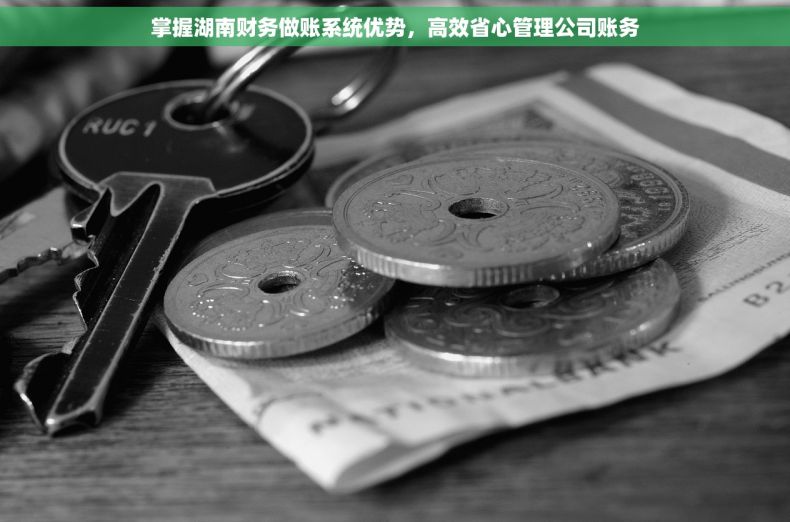 掌握湖南财务做账系统优势，高效省心管理公司账务