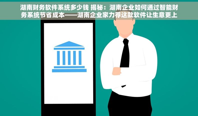 湖南财务软件系统多少钱 揭秘：湖南企业如何通过智能财务系统节省成本——湖南企业家力荐这款软件让生意更上一层楼