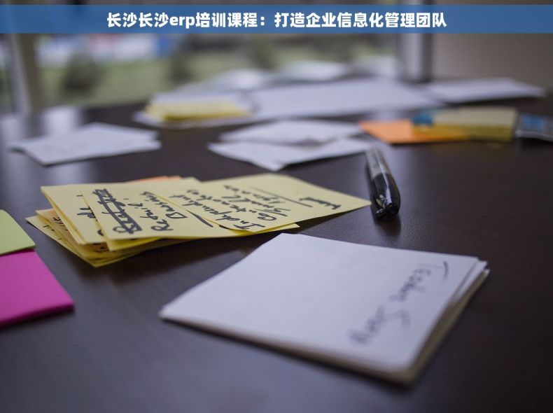 长沙长沙erp培训课程：打造企业信息化管理团队