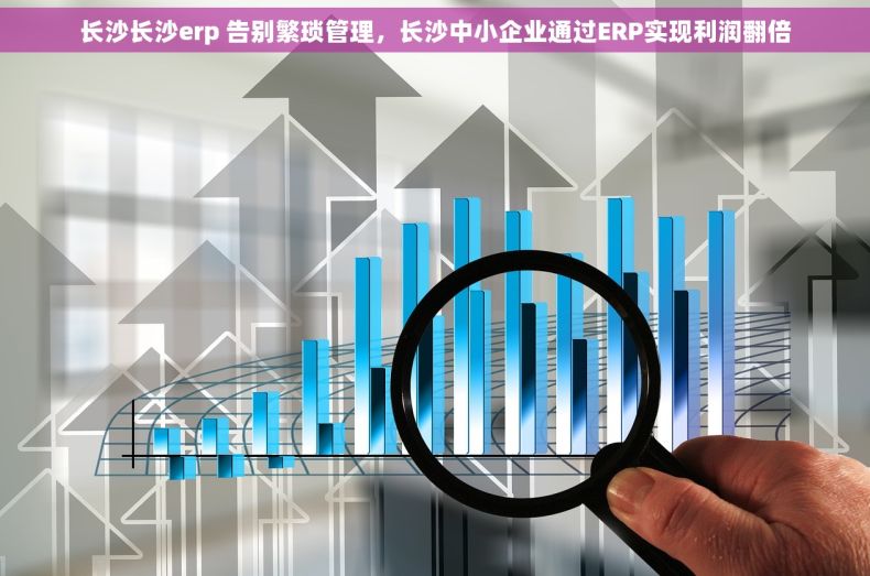 长沙长沙erp 告别繁琐管理，长沙中小企业通过ERP实现利润翻倍