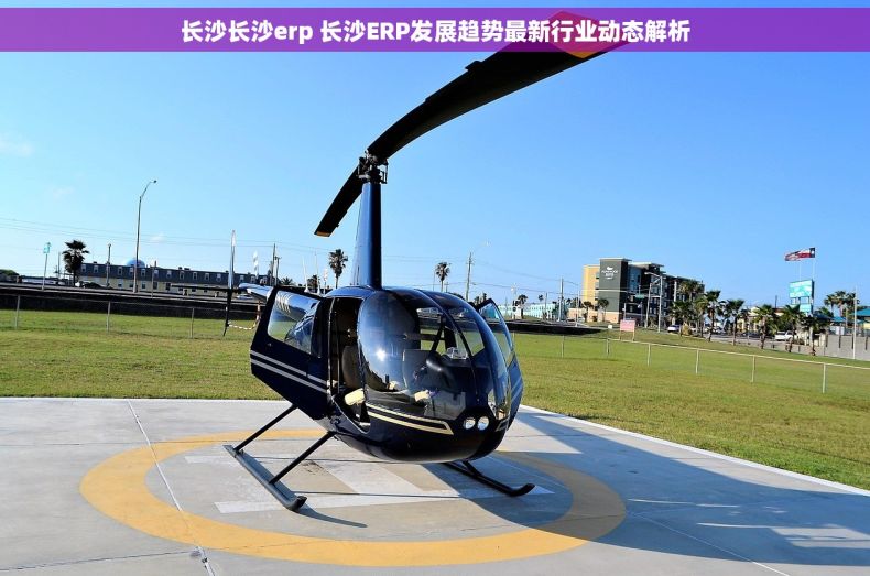 长沙长沙erp 长沙ERP发展趋势最新行业动态解析