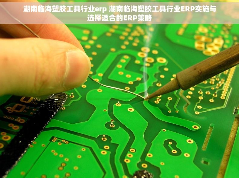 湖南临海塑胶工具行业erp 湖南临海塑胶工具行业ERP实施与选择适合的ERP策略