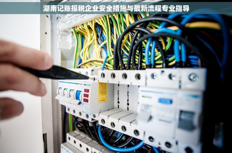 湖南记账报税企业安全措施与最新流程专业指导