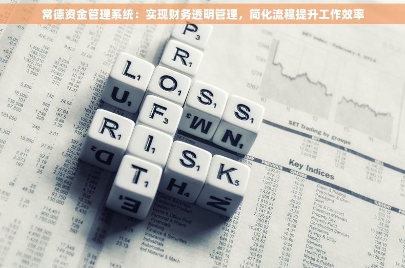 常德资金管理系统：实现财务透明管理，简化流程提升工作效率