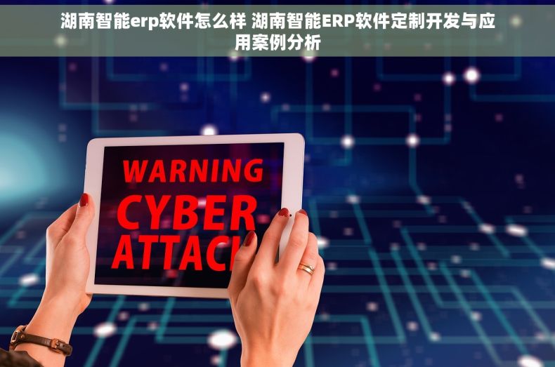 湖南智能erp软件怎么样 湖南智能ERP软件定制开发与应用案例分析