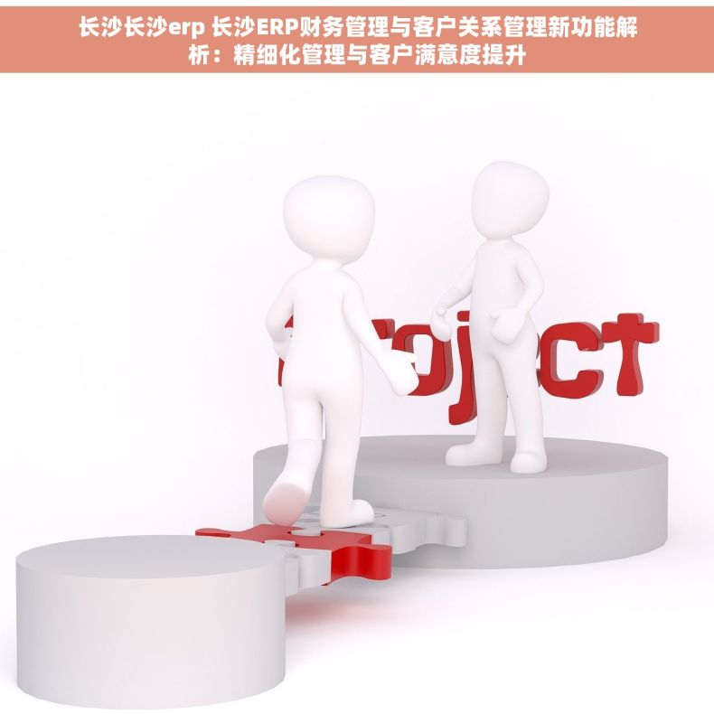 长沙长沙erp 长沙ERP财务管理与客户关系管理新功能解析：精细化管理与客户满意度提升