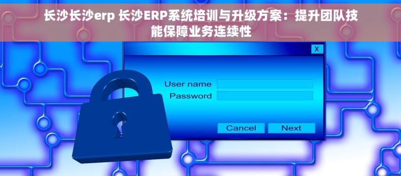 长沙长沙erp 长沙ERP系统培训与升级方案：提升团队技能保障业务连续性
