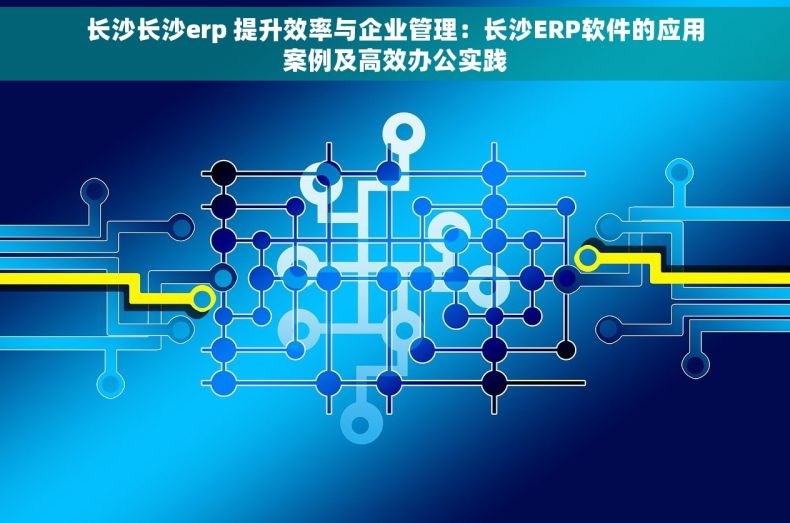 长沙长沙erp 提升效率与企业管理：长沙ERP软件的应用案例及高效办公实践