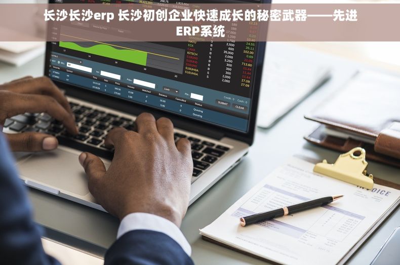 长沙长沙erp 长沙初创企业快速成长的秘密武器——先进ERP系统