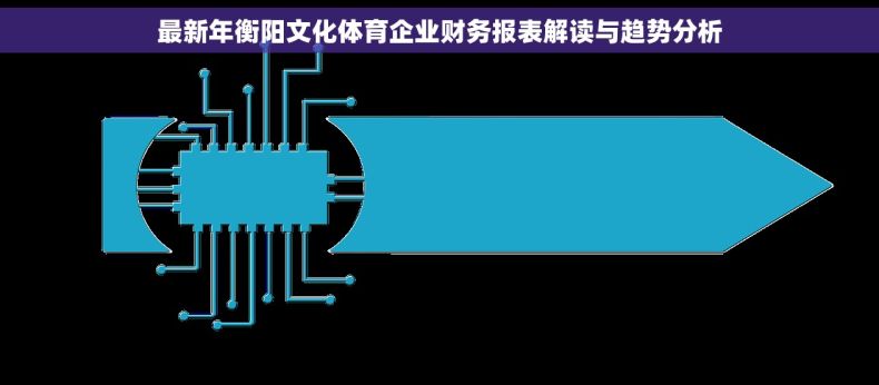 最新年衡阳文化体育企业财务报表解读与趋势分析