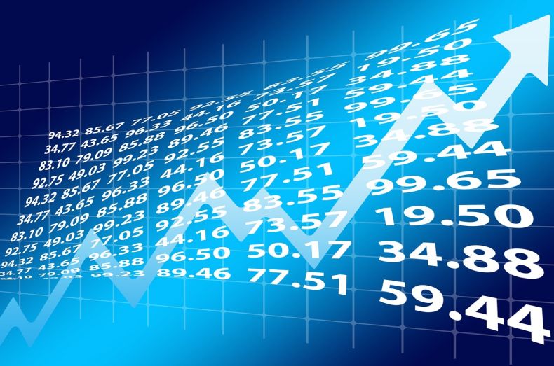 最新年衡阳文化体育企业财务报表解读与趋势分析