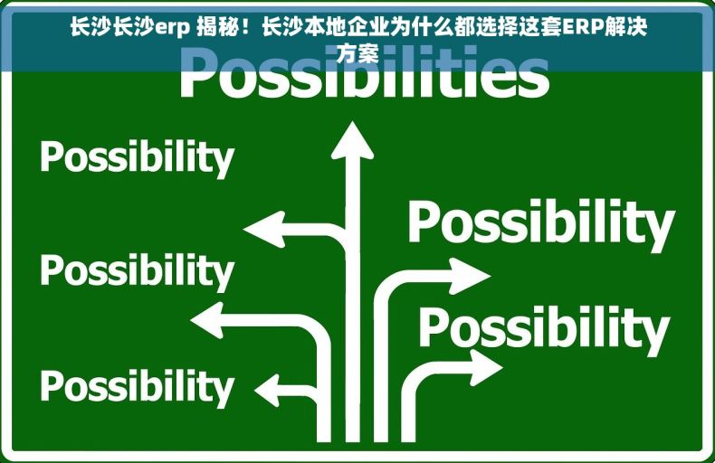 长沙长沙erp 揭秘！长沙本地企业为什么都选择这套ERP解决方案