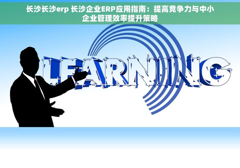 长沙长沙erp 长沙企业ERP应用指南：提高竞争力与中小企业管理效率提升策略