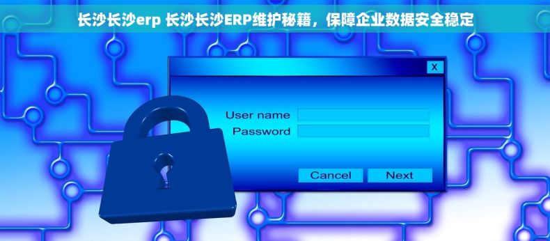 长沙长沙erp 长沙长沙ERP维护秘籍，保障企业数据安全稳定