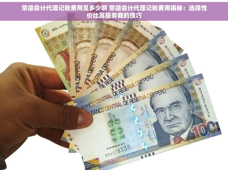 常德会计代理记账费用是多少啊 常德会计代理记账费用揭秘：选择性价比高服务商的技巧