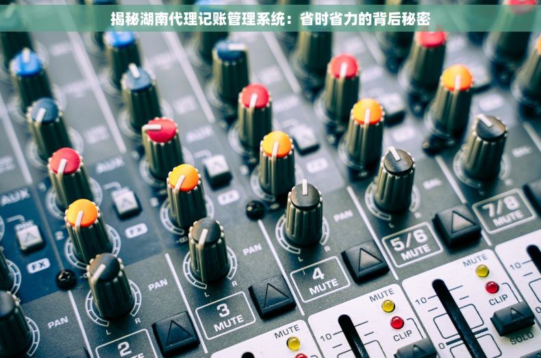 揭秘湖南代理记账管理系统：省时省力的背后秘密