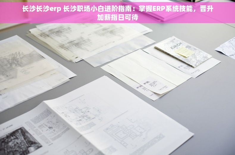 长沙长沙erp 长沙职场小白进阶指南：掌握ERP系统技能，晋升加薪指日可待