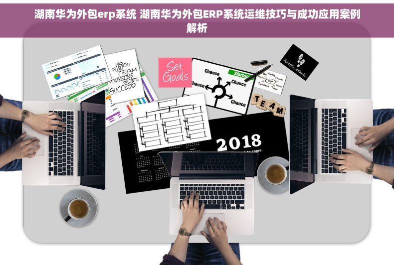 湖南华为外包erp系统 湖南华为外包ERP系统运维技巧与成功应用案例解析