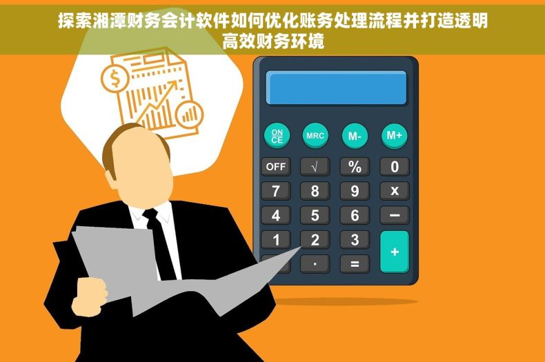 探索湘潭财务会计软件如何优化账务处理流程并打造透明高效财务环境
